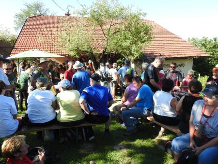 Pomlad v prleških goricah 2017 50